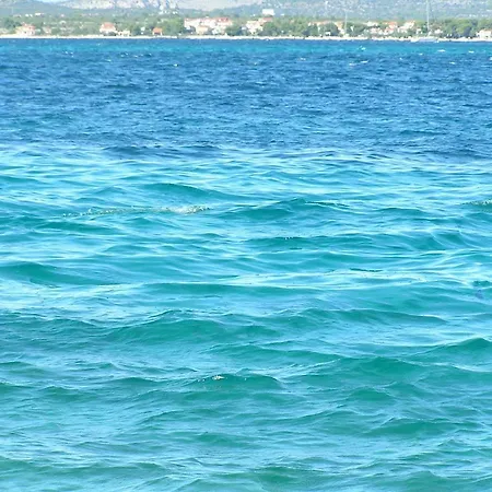 Maslina 2 Daire Zlarin